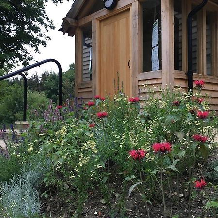 South Downs Eco Lodge & Camping East Meon Kültér fotó
