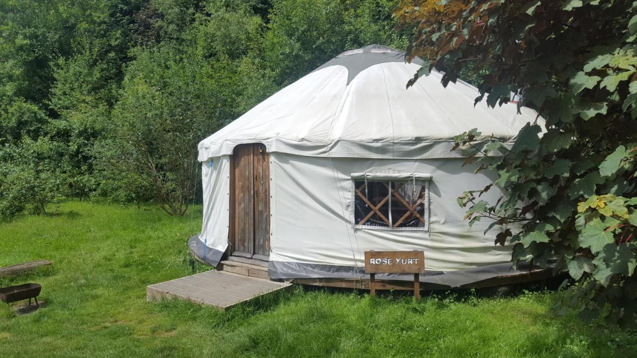 South Downs Eco Lodge & Camping East Meon Kültér fotó