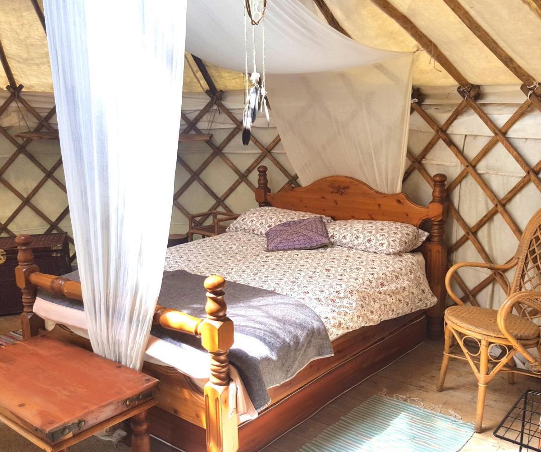 South Downs Eco Lodge & Camping East Meon Kültér fotó