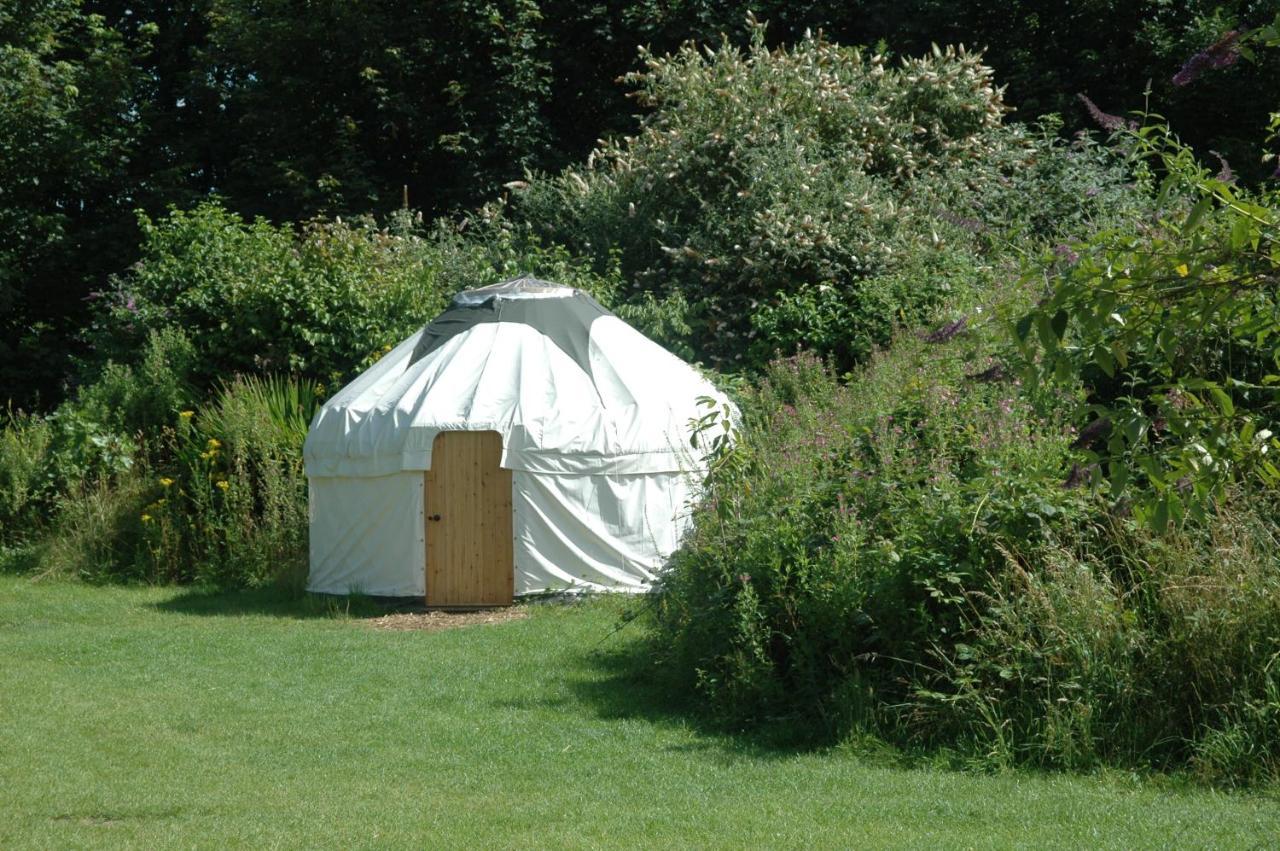 South Downs Eco Lodge & Camping East Meon Kültér fotó