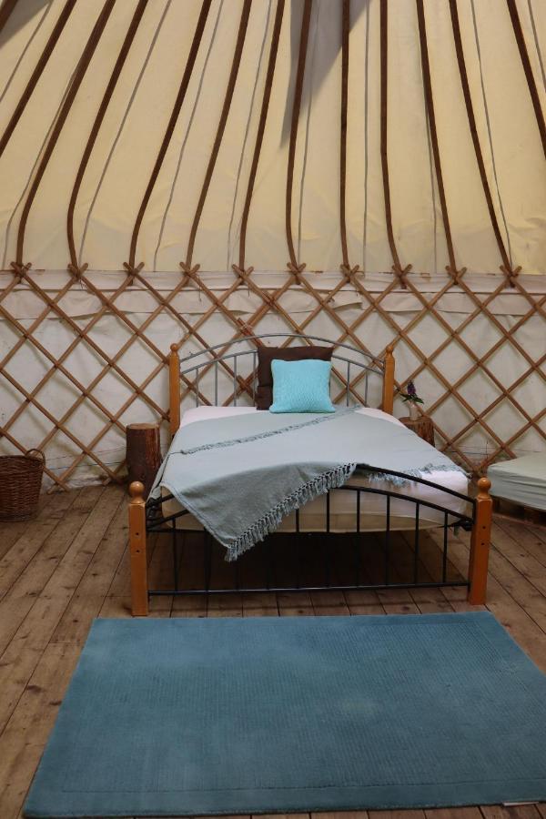 South Downs Eco Lodge & Camping East Meon Kültér fotó