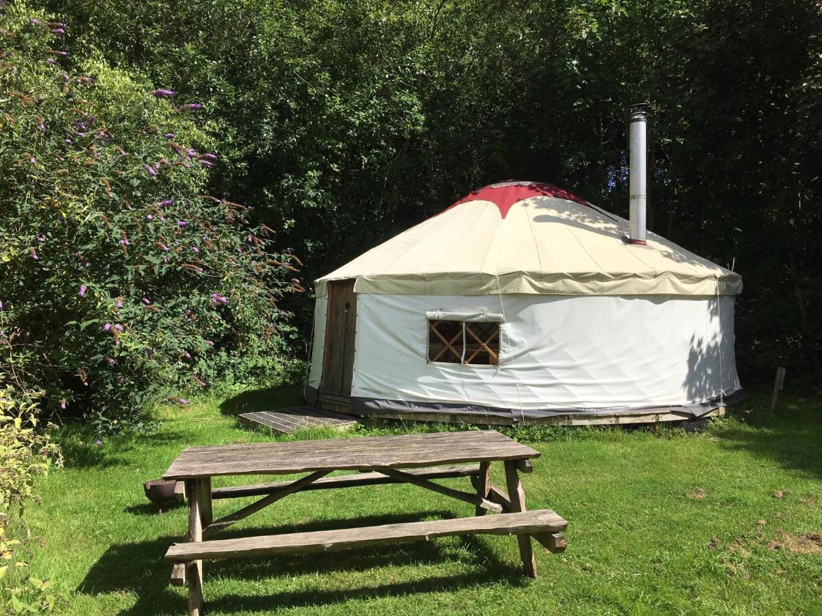 South Downs Eco Lodge & Camping East Meon Kültér fotó