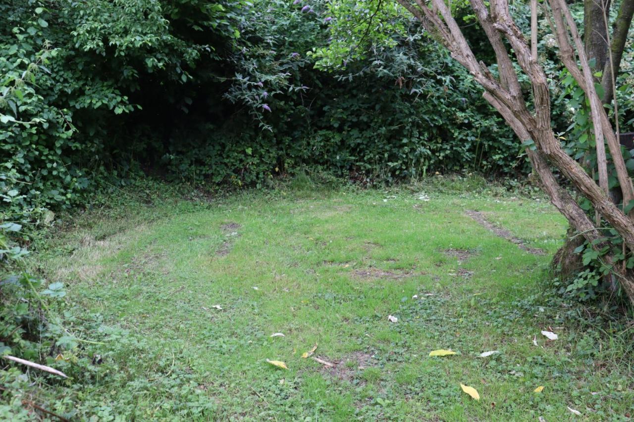 South Downs Eco Lodge & Camping East Meon Kültér fotó