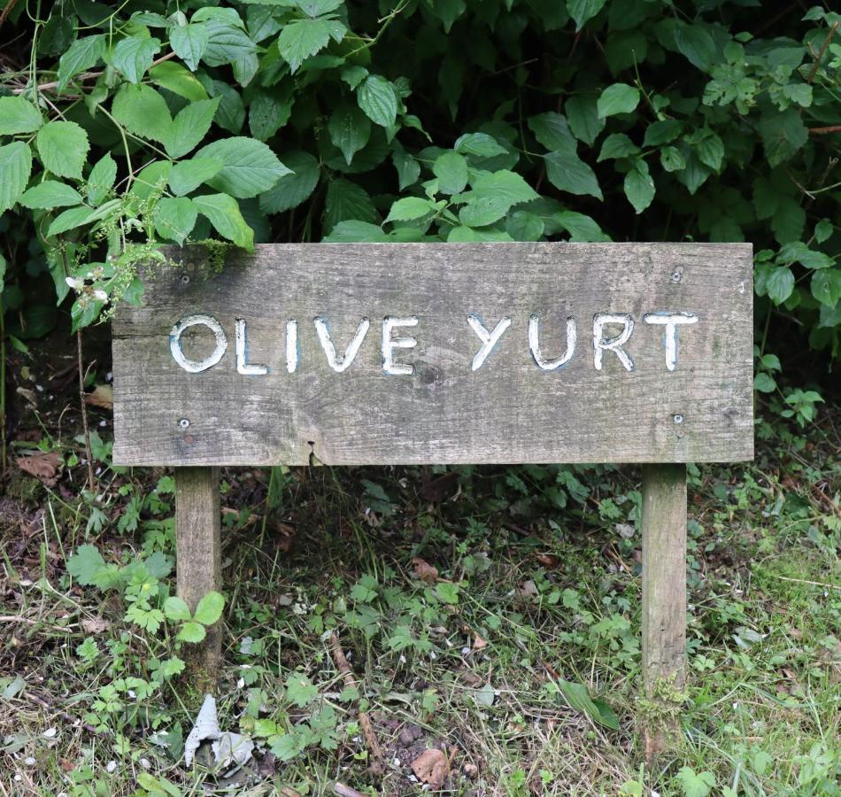 South Downs Eco Lodge & Camping East Meon Kültér fotó