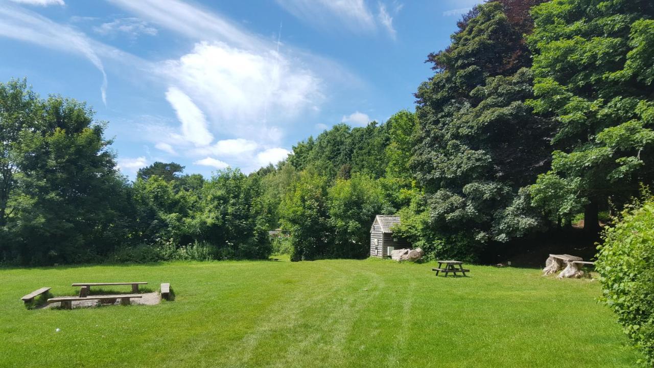 South Downs Eco Lodge & Camping East Meon Kültér fotó