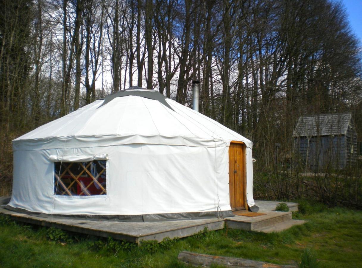 South Downs Eco Lodge & Camping East Meon Kültér fotó