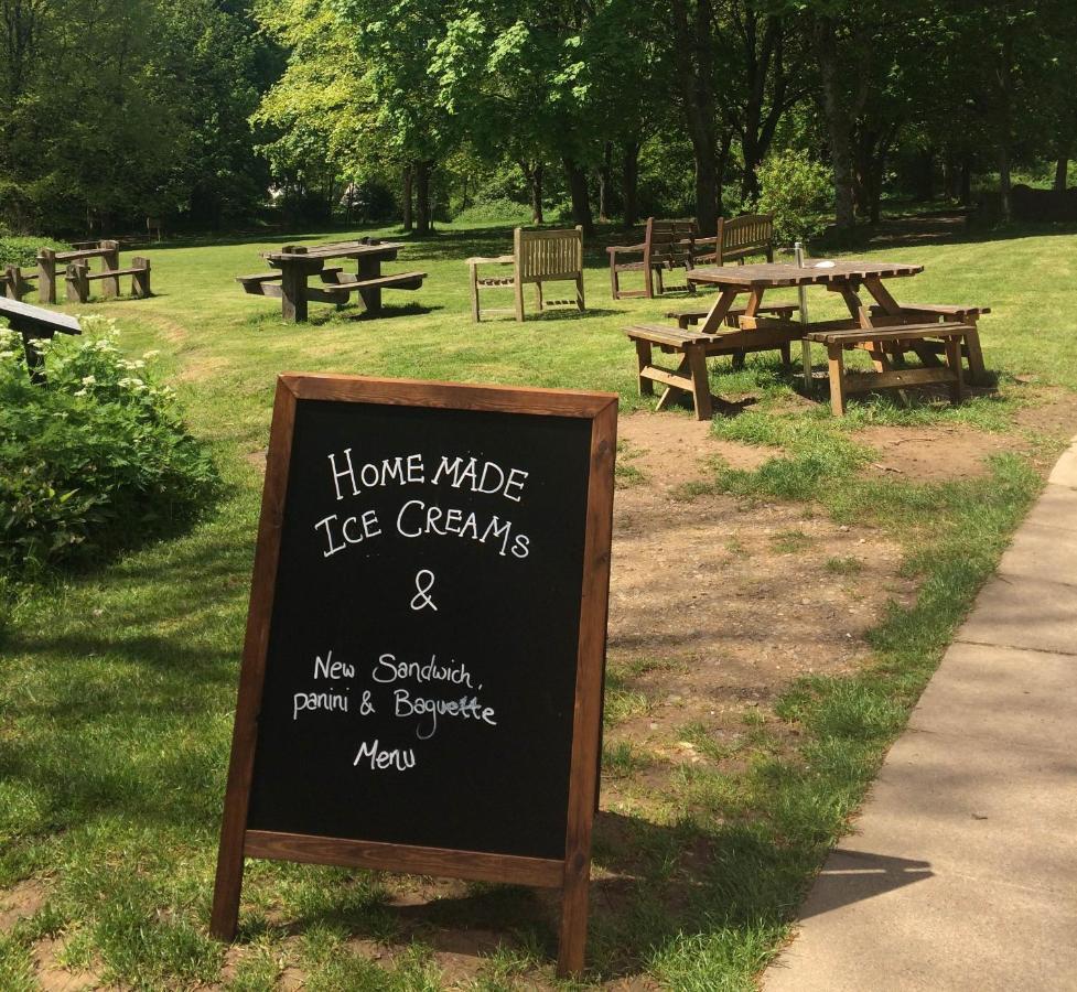 South Downs Eco Lodge & Camping East Meon Kültér fotó