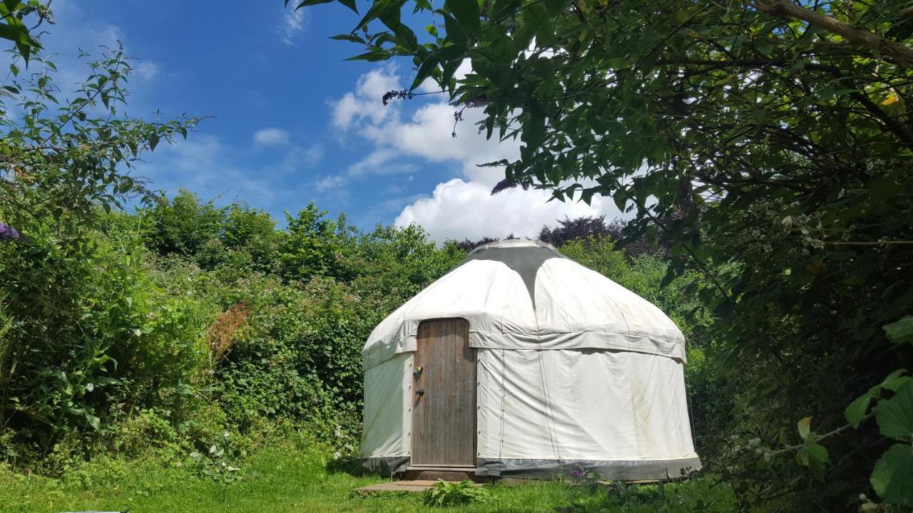 South Downs Eco Lodge & Camping East Meon Kültér fotó