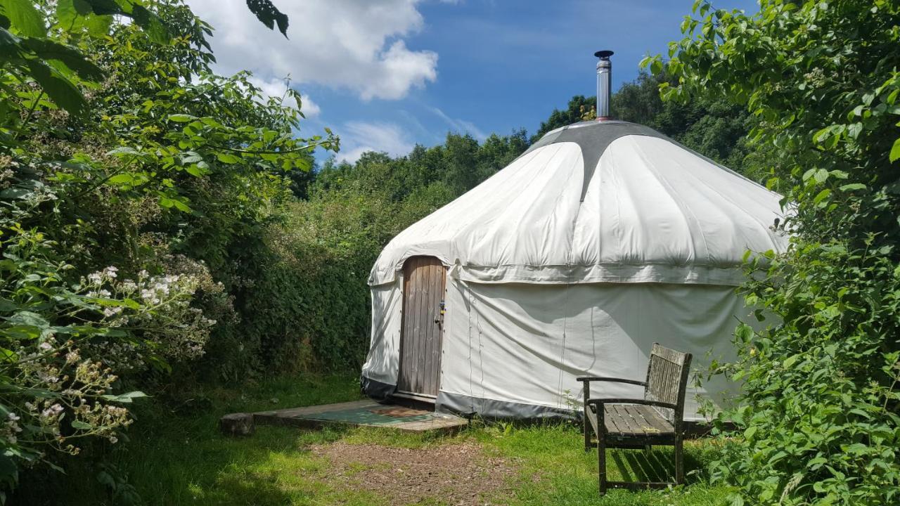 South Downs Eco Lodge & Camping East Meon Kültér fotó