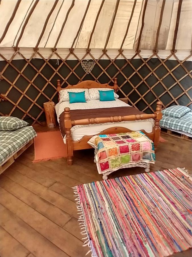 South Downs Eco Lodge & Camping East Meon Kültér fotó